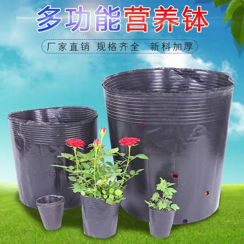 塑料花盆营养钵。一次性黑色塑料皮。双色花盆