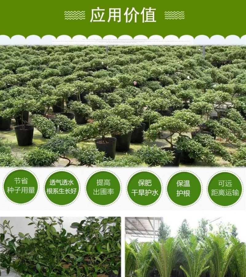 塑料花盆营养钵。一次性黑色塑料皮。双色花盆