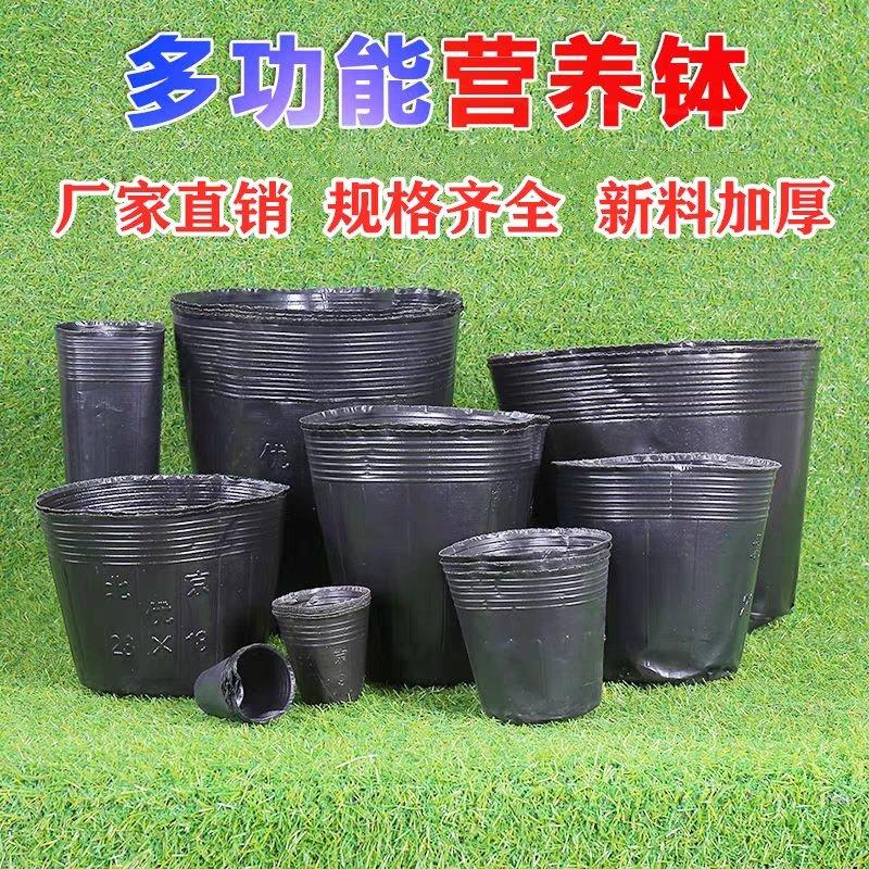 塑料花盆营养钵。一次性黑色塑料皮。双色花盆