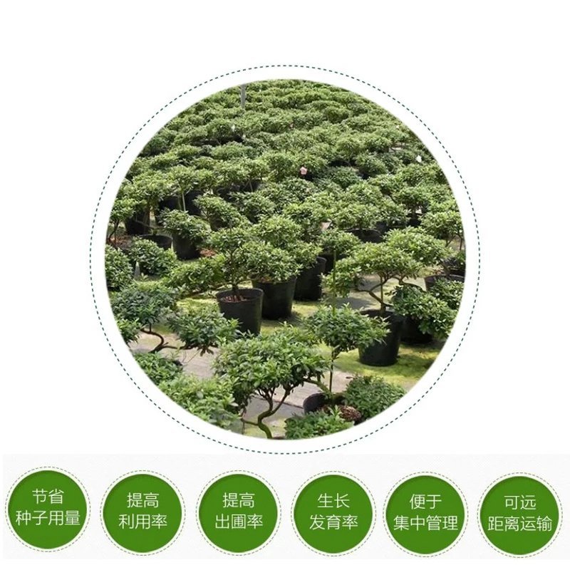 塑料花盆营养钵。一次性黑色塑料皮。双色花盆