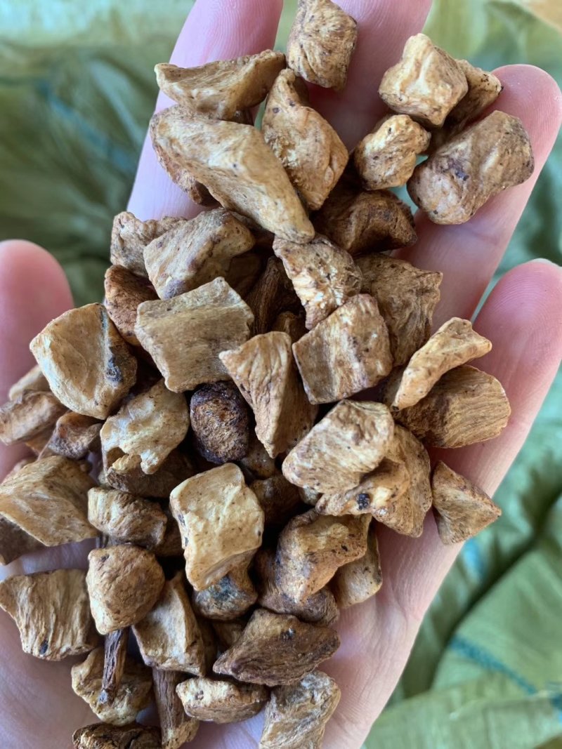 精选菊苣根大颗粒，一斤两瓶，一斤起售，10斤起价优