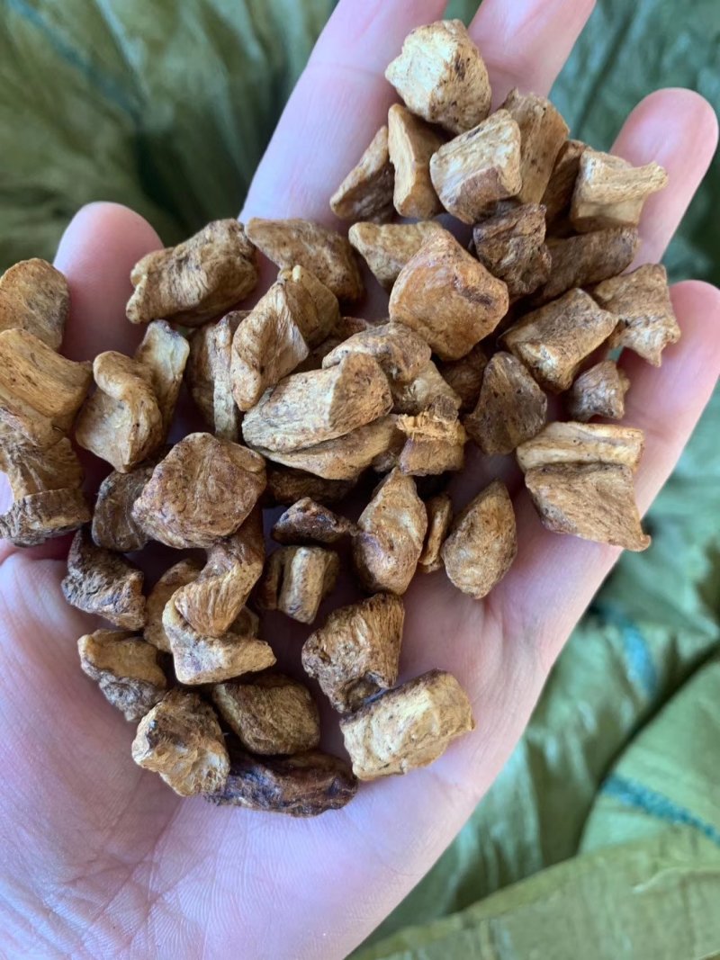 精选菊苣根大颗粒，一斤两瓶，一斤起售，10斤起价优