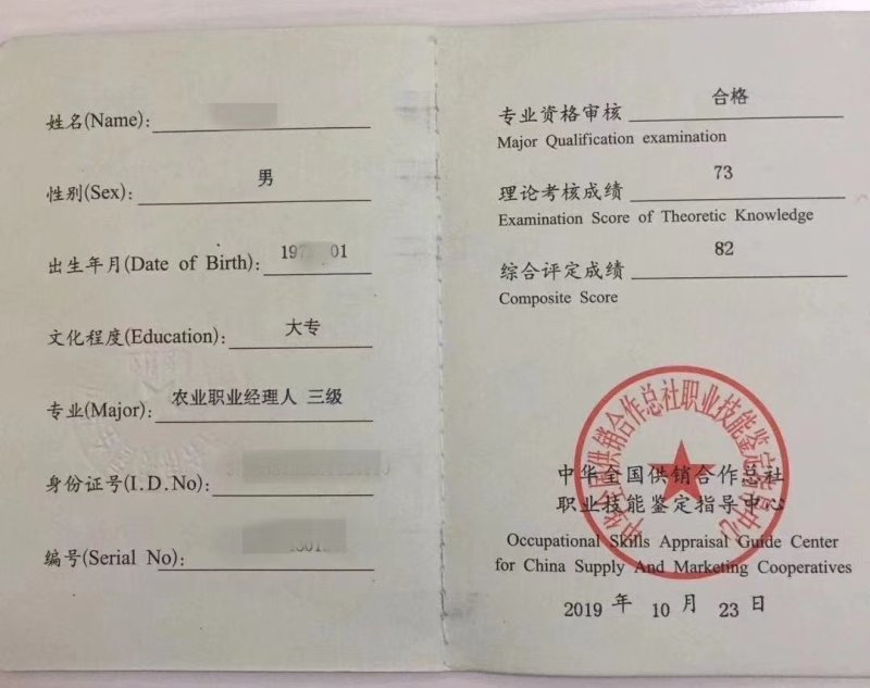 大量出售散装袋装花生壳燃烧颗粒