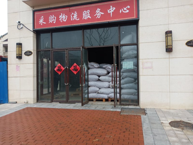 板蓝根籽板蓝根大叶小叶品种纯