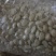 优质无芽保鲜蒜米双重筛选基地直供可视频看货选货