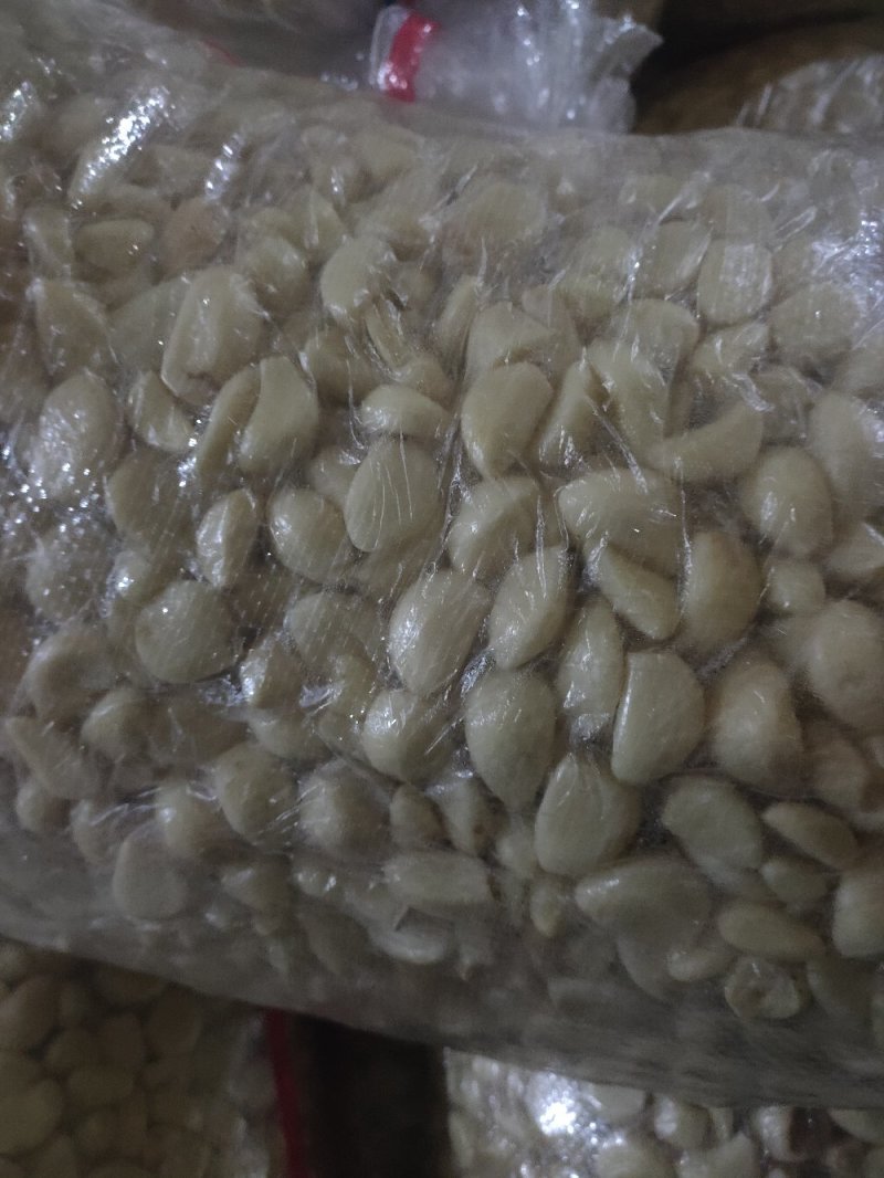 优质无芽保鲜蒜米双重筛选基地直供可视频看货选货