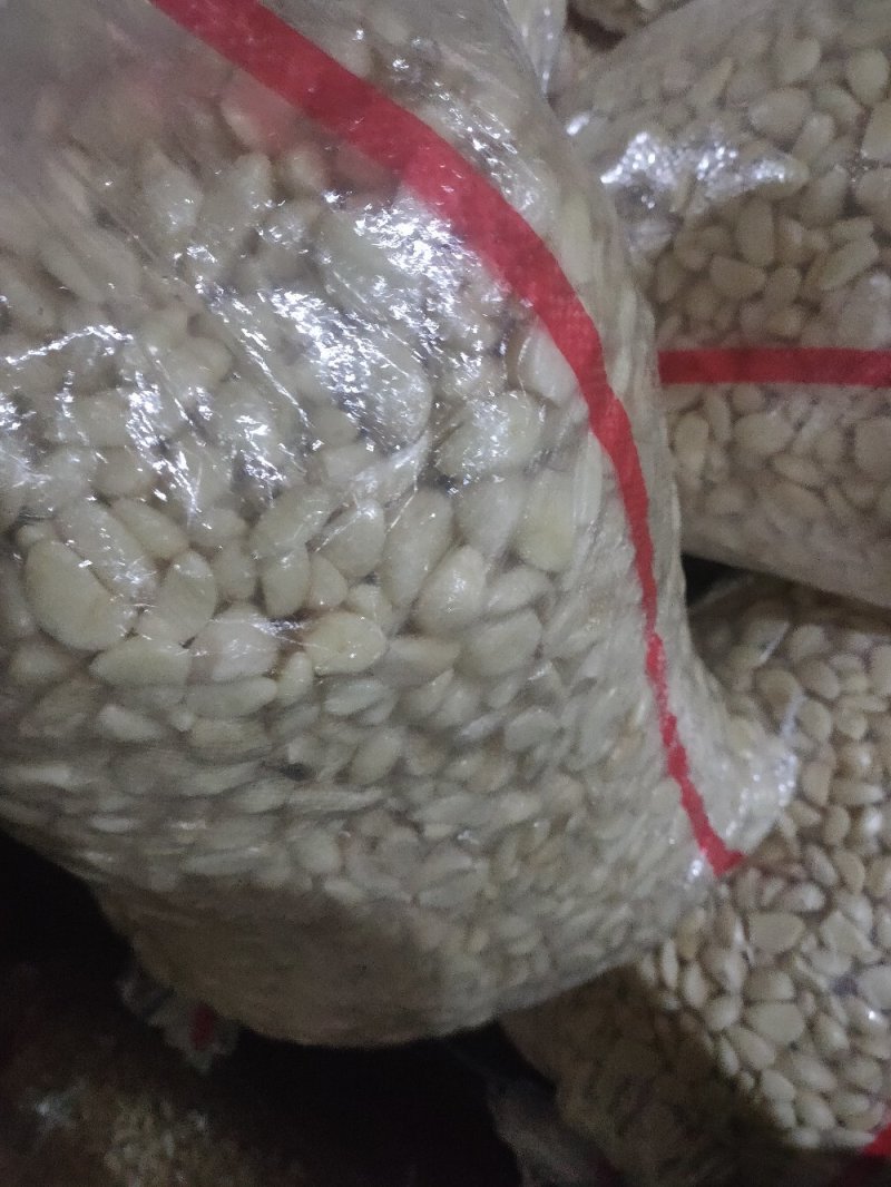 优质无芽保鲜蒜米双重筛选基地直供可视频看货选货
