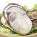 乳山生蚝鲜活生蚝肉新鲜大牡蛎带壳海蛎子贝类海鲜
