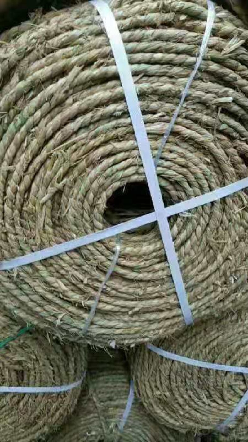 【推荐】草绳工业农业绿化量大从优欢迎前来选购
