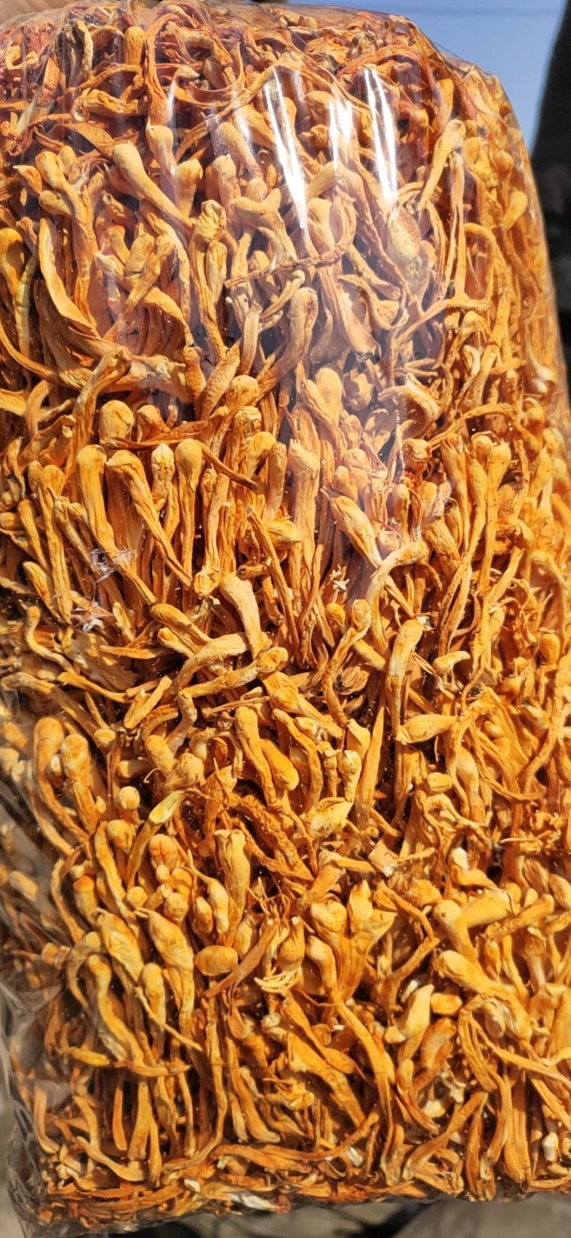【排草中粗条】【李大人村】产地批发东北土特产，虫草花干