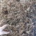 云南野生白头翁无叶纯根茎水洗无硫柴火烘干