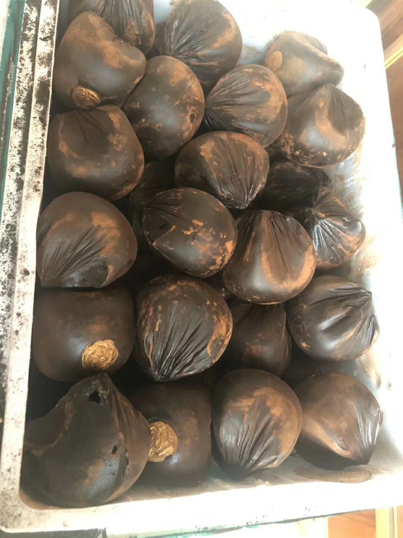 包邮正品血竭龙血竭检测报告保证质量