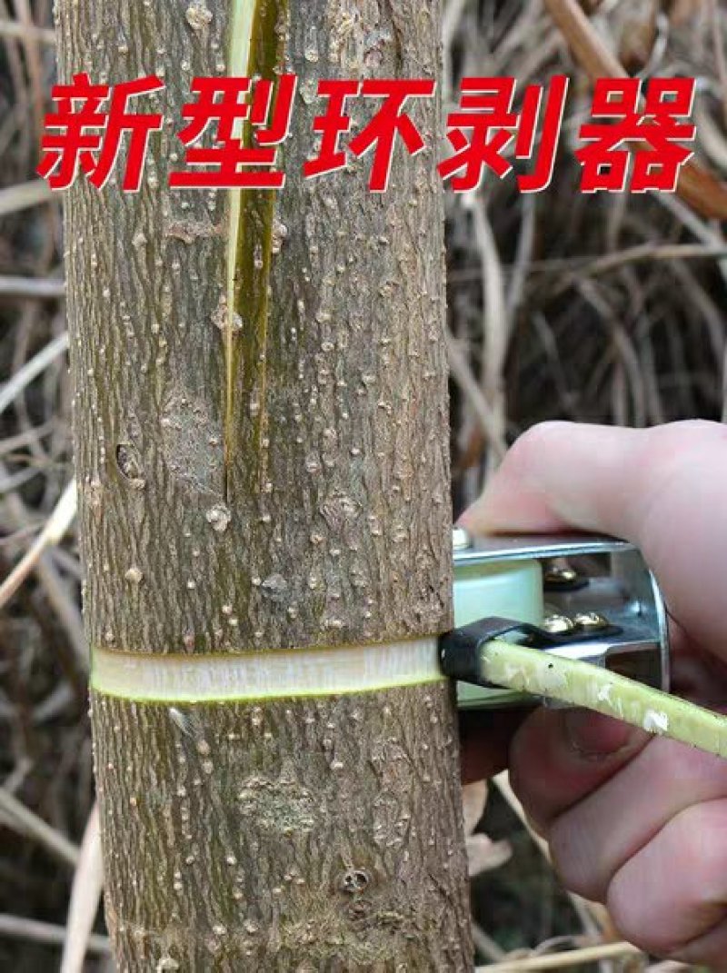 立锦果树环割环剥器柑橘荔枝蜜柚柚子树开甲剥皮刀环剥环割剥