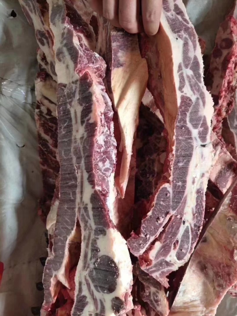 【精品】多肉牛排厂家直发货源充足欢迎咨询