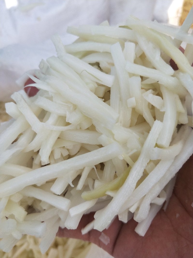 广东省英德市西牛镇清水笋，酸笋，盐笋，笋尾