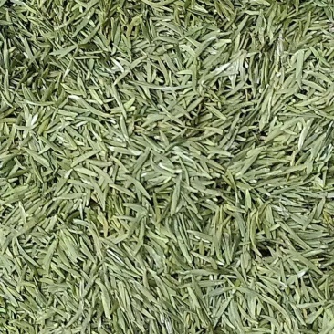 汉中仙毫，红茶，绿茶