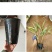 营养钵育苗盆种植穴盘塑料营养袋育苗袋一次性花盆营养杯育苗