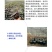 营养钵育苗盆种植穴盘塑料营养袋育苗袋一次性花盆营养杯育苗