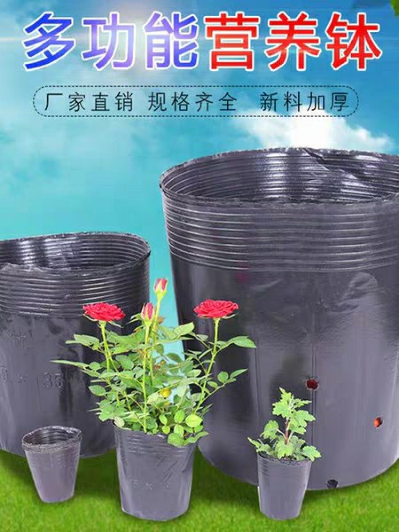 营养钵育苗盆种植穴盘塑料营养袋育苗袋一次性花盆营养杯育苗