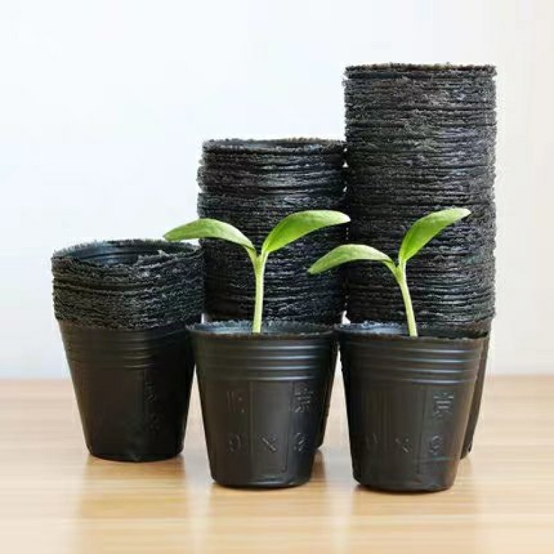 营养钵育苗盆种植穴盘塑料营养袋育苗袋一次性花盆营养杯育苗