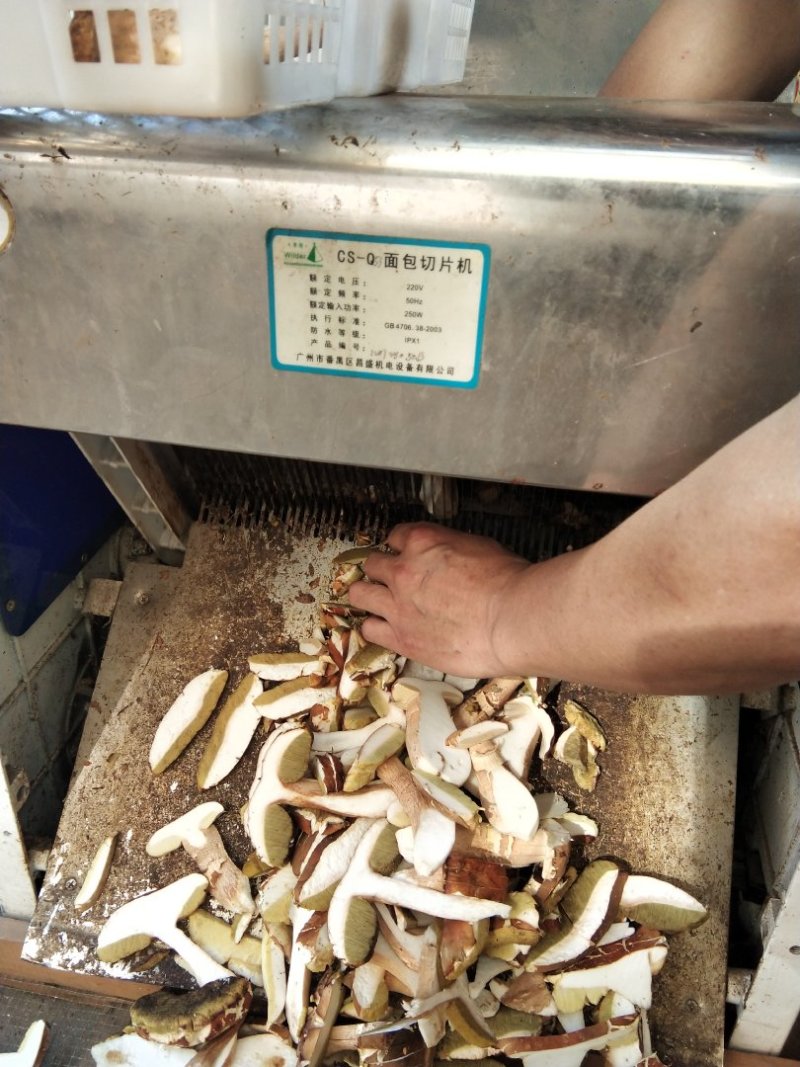 牛肝菌【出口货内销货】美味白牛肝菌烘烤片干货原产地批发