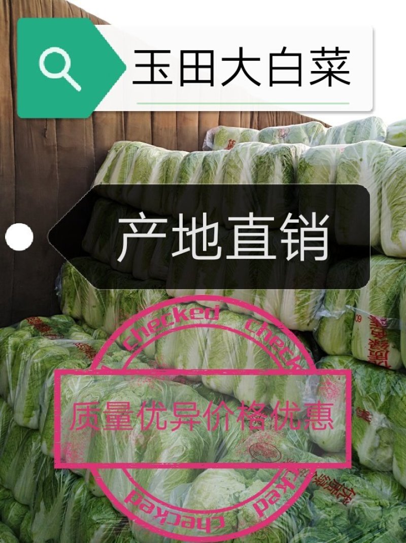 玉田北京新三号白菜大量供货散装袋装均可协办装车找车
