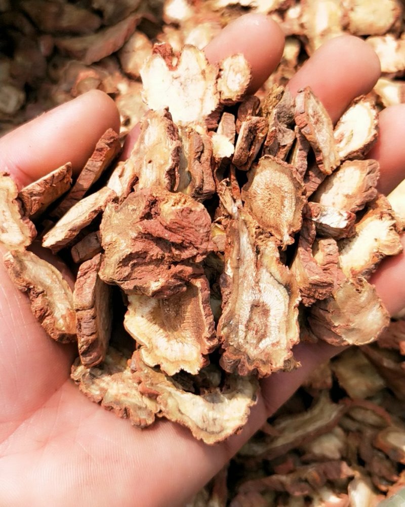 精选丹参片大片无硫精选大片，一手货源