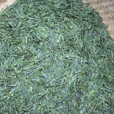 四明山早茶叶价格给到最优惠了带包装包邮