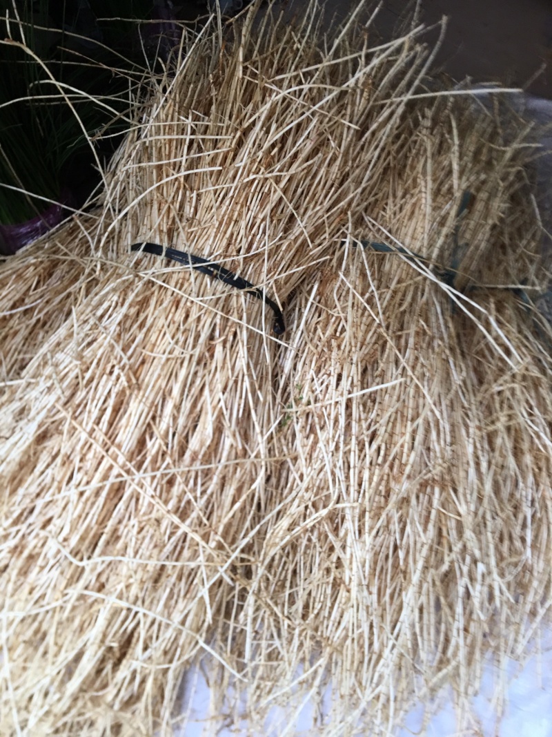 白茅根