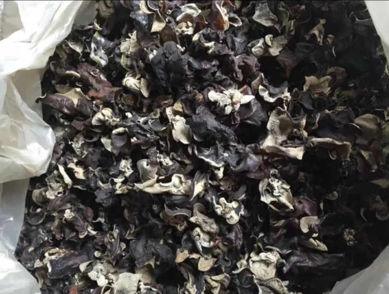 水洗毛木耳，无加工，跑地摊展销的货，关注咨询