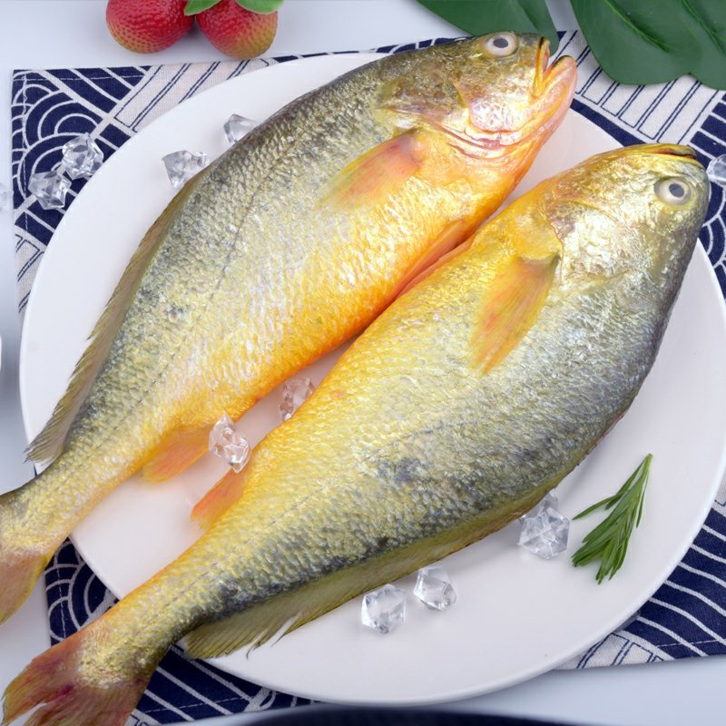 新鲜大黄鱼海鱼新鲜冷冻海鲜生鲜水产