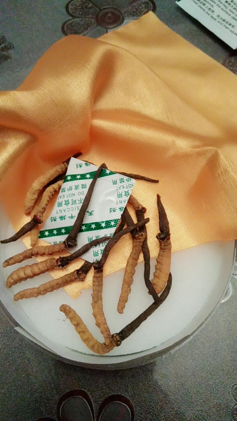 冬虫夏草正宗野生云南冬虫夏草非西藏那曲玉树冬虫夏草礼盒正
