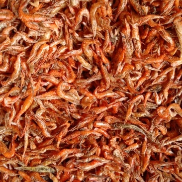 虾干河虾干度好，颜色红