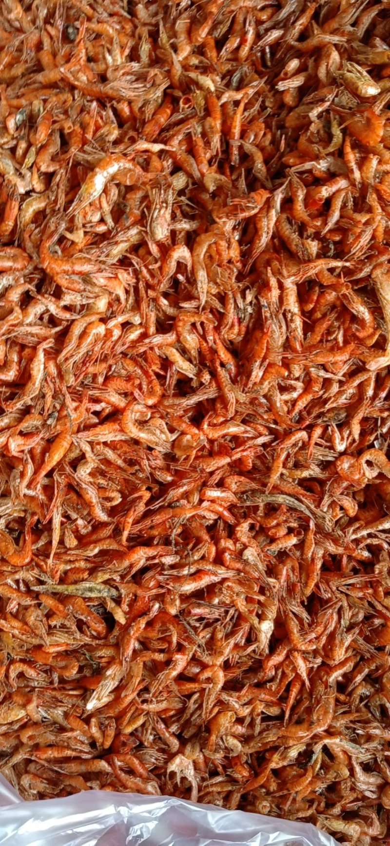 虾干河虾干度好，颜色红