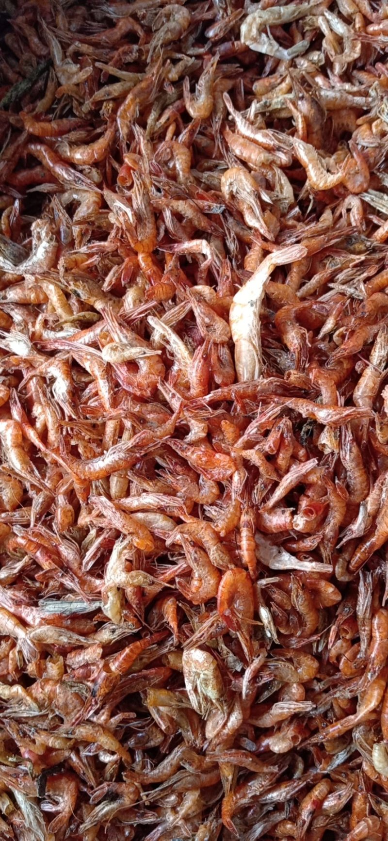 虾干河虾干度好，颜色红