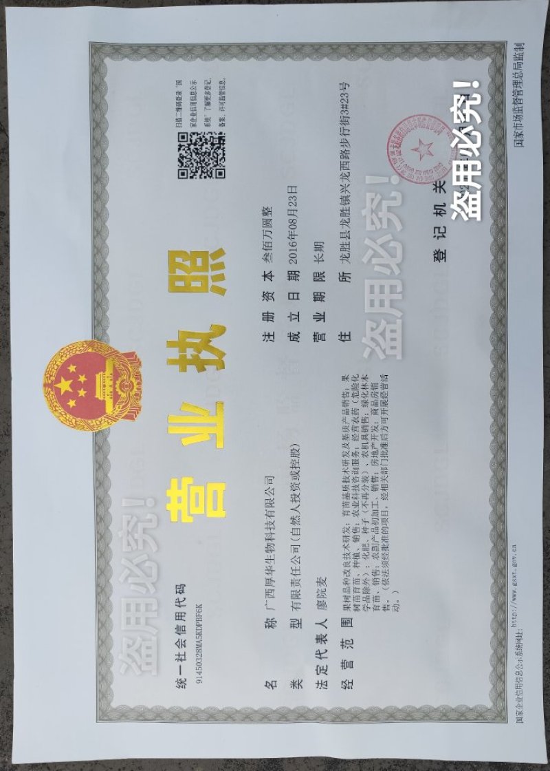 九月黄苗选育改良巨果新品种产量高耐储存耐运输