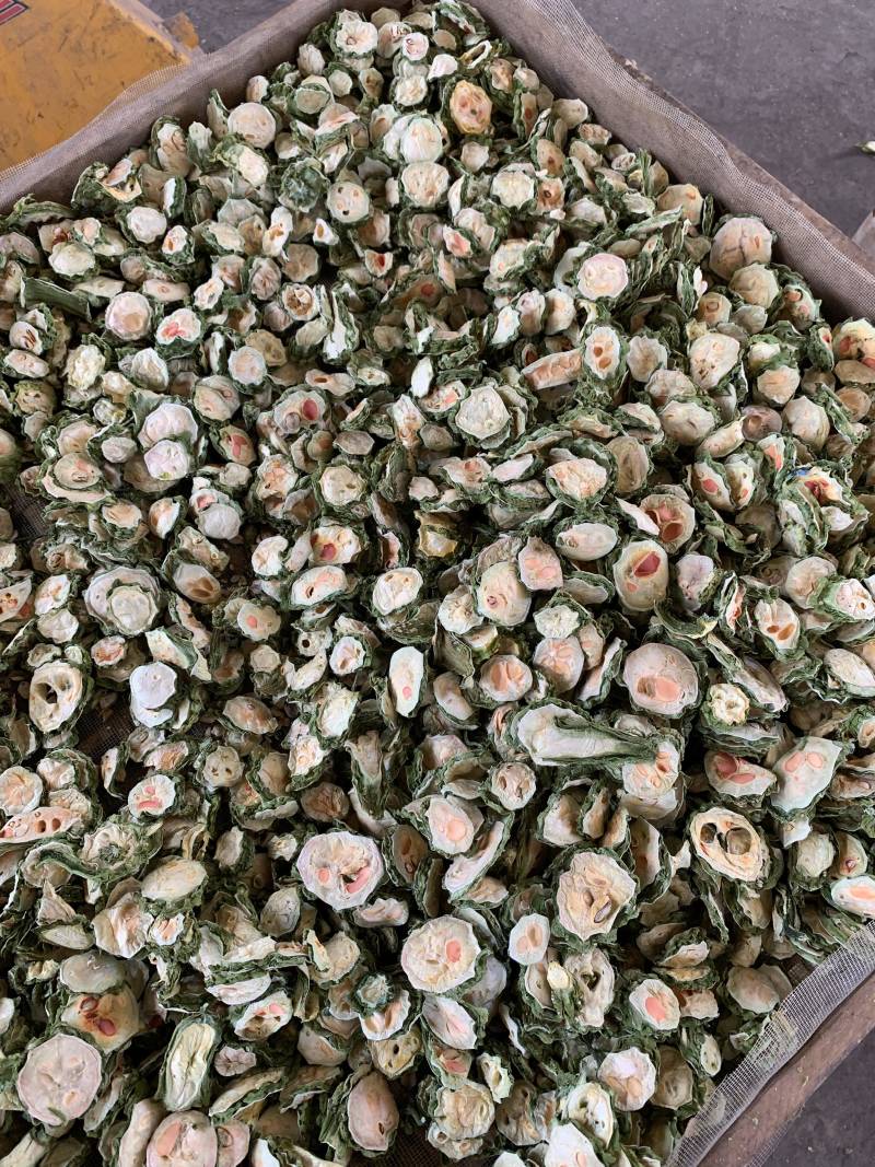 桂林阳朔生产苦瓜茶苦瓜干电商一件代发