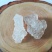 雪燕大货批发供应优质拉丝雪燕拉丝好少杂质