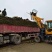辽宁开原草坪繁育基地规格齐全价格合理质量保证全国发货
