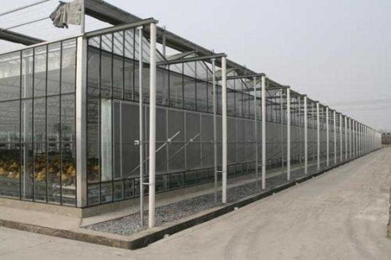 玻璃温室，玻璃大棚，智能温室，数字农业，玻璃温室厂家