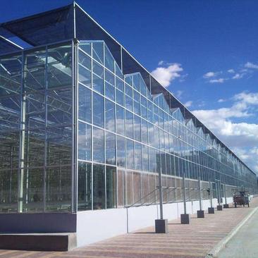 玻璃温室，玻璃大棚，智能温室，数字农业，玻璃温室厂家