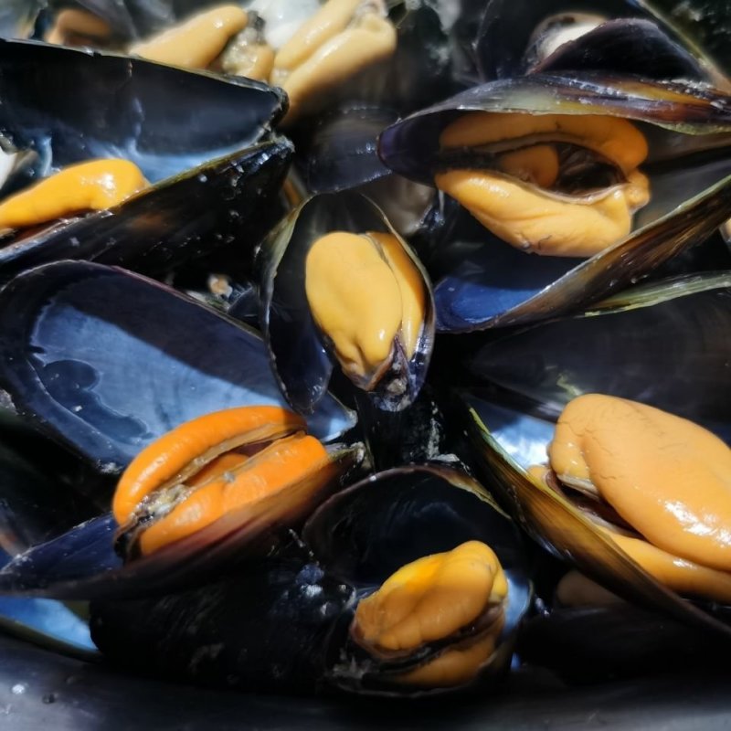 鲜活海虹青口贝新鲜贝类淡菜贻贝
