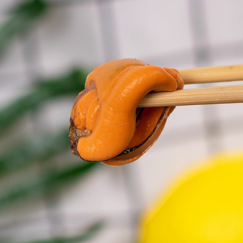 鲜活海虹青口贝新鲜贝类淡菜贻贝