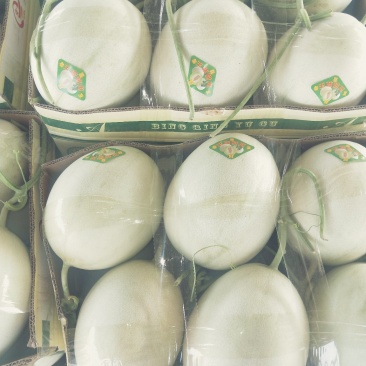 玉菇甜瓜/清爽可口/色泽好个头匀/电商一件代发/超市专供