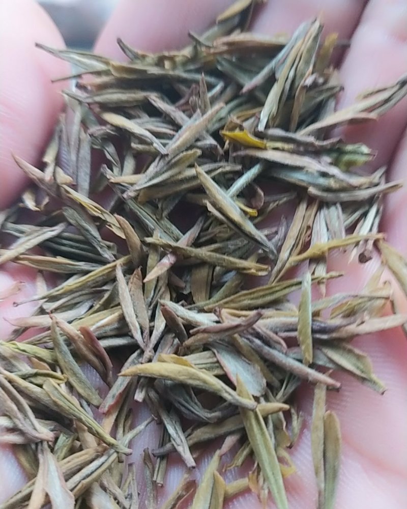 黄金茶