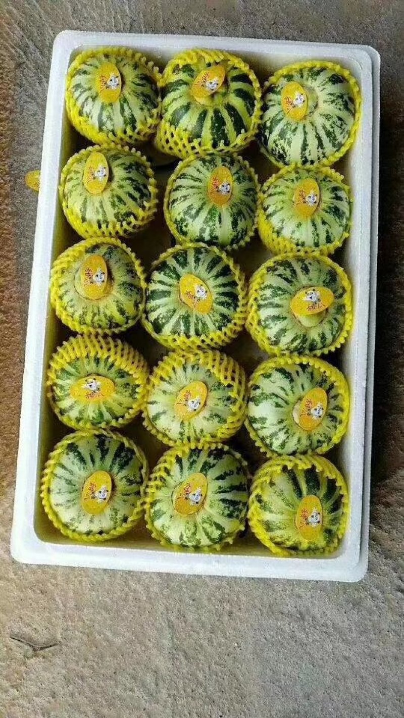 山东花蕾花美人甜瓜，莘县产地，包装全无费用