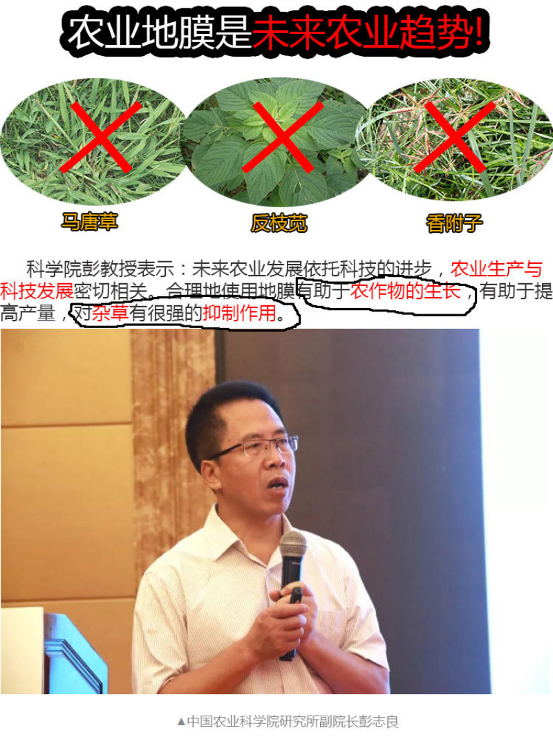 黑色地膜白色地膜加厚薄地膜塑料薄膜黑地膜农用