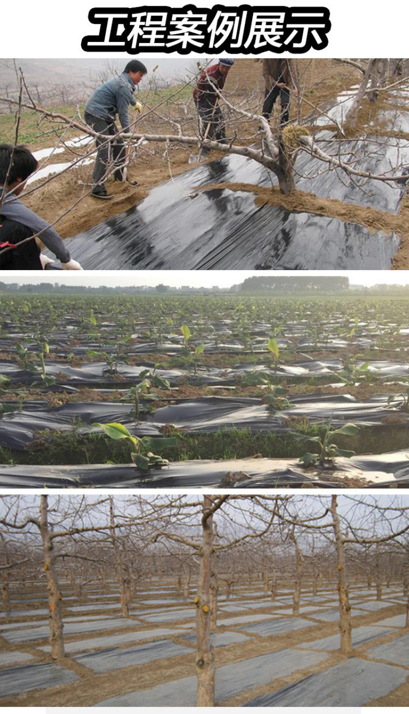 黑色地膜白色地膜加厚薄地膜塑料薄膜黑地膜农用