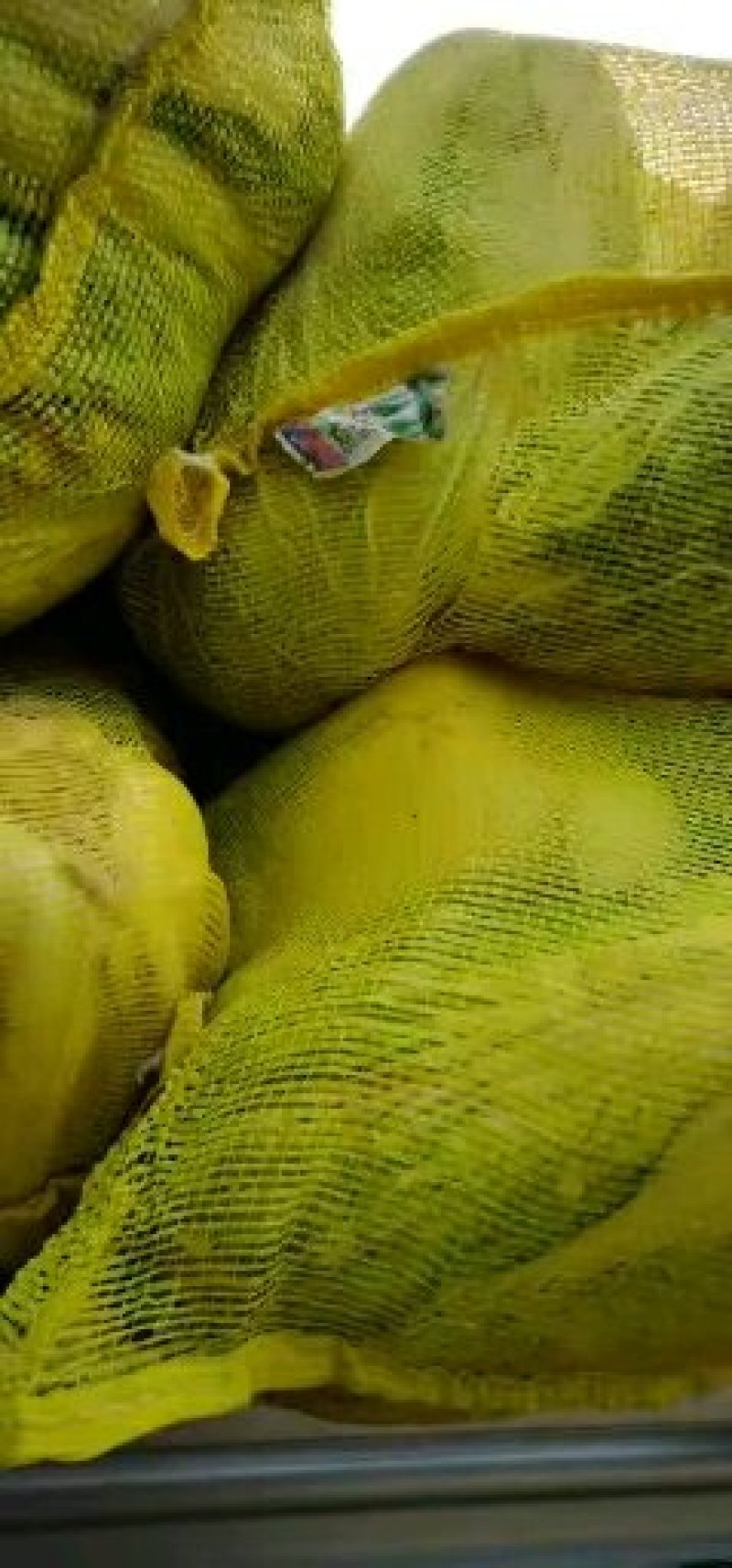【平度】黄心大白菜大量供应冷库白菜视频看货