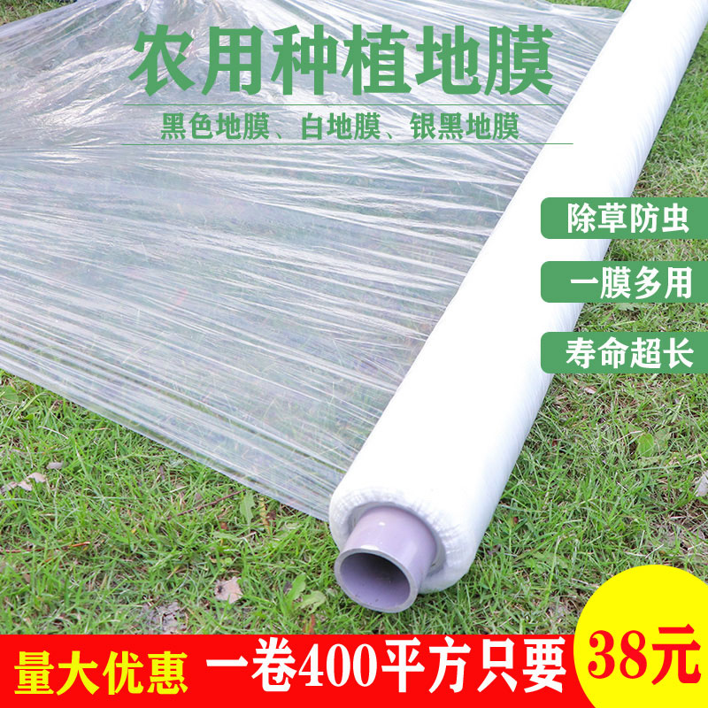 白地膜农用银黑色薄膜果树蔬菜棚工程混凝土保护薄膜